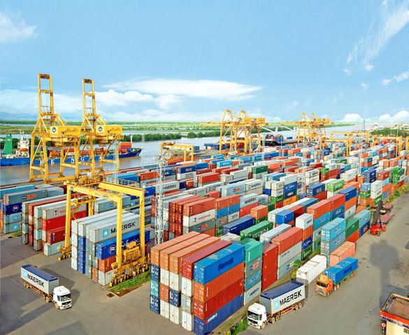 Hàng nghìn container bỏ quên 10 năm ở cảng Hải Phòng