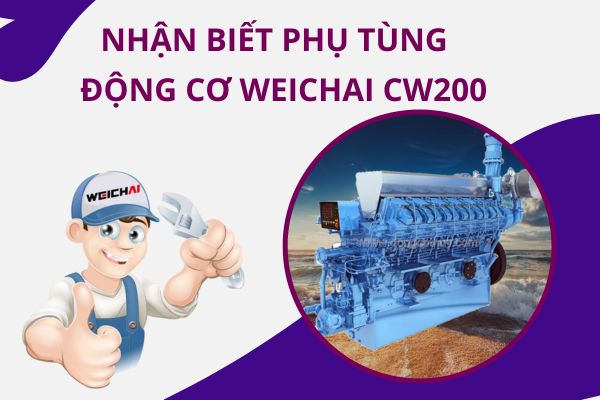 Cách nhận biết phụ tùng động cơ hàng hải Weichai CW200