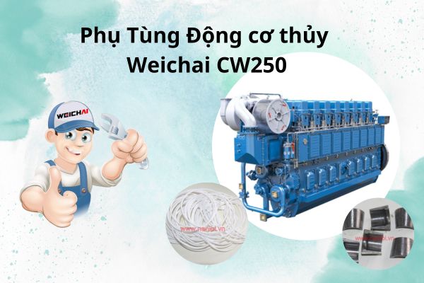 Sự quan trọng của phụ tùng động cơ thủy Weichai CW250